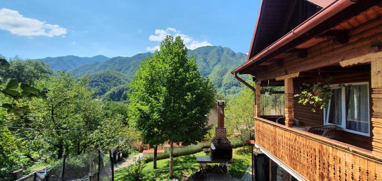 Villa Casa Colt De Rai Brezoi Exterior foto