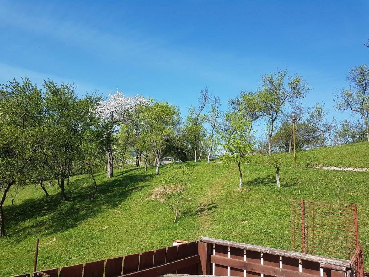 Villa Casa Colt De Rai Brezoi Exterior foto